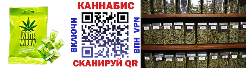 Canna-Cookies конопля  где продают   Хасавюрт 